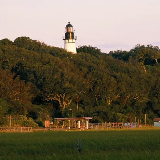a large green field with trees in the background with Beihai Park in the background