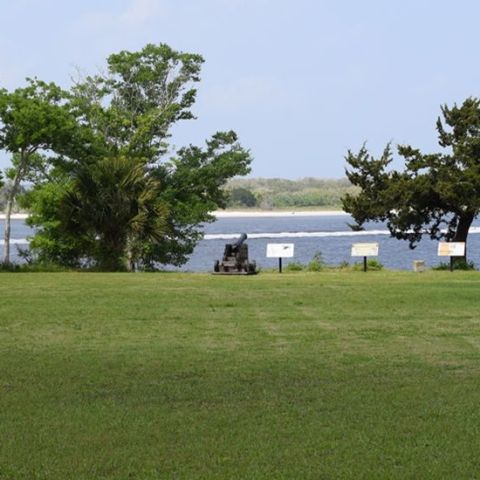a large tree in a grassy field