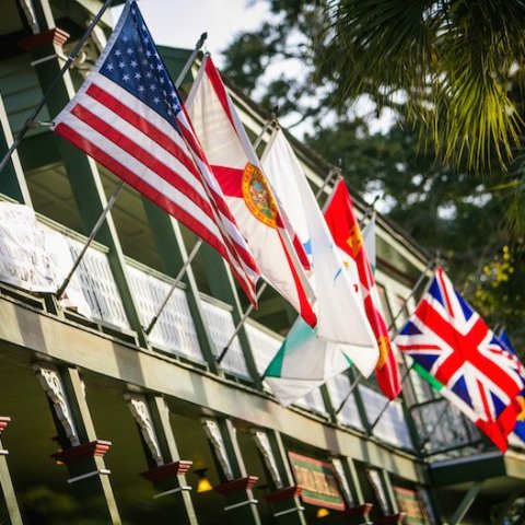 a flag hanging on a tree